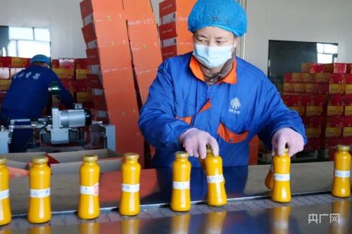 冬博會(huì)開幕在即 青河縣各參展企業(yè)已準(zhǔn)備就緒