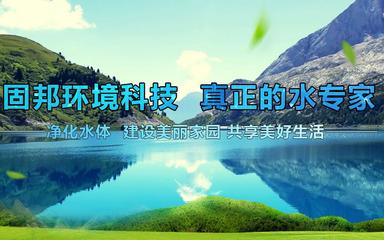 聚合硫酸鐵凈水劑的應用